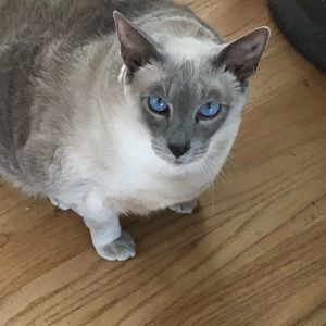 Meet your Posher, James